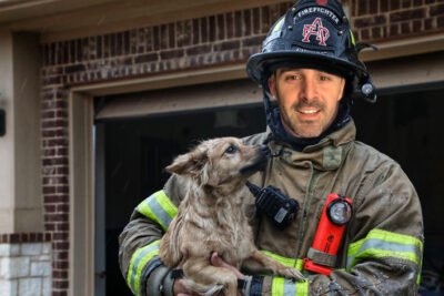 El bombero Nicolás García Boccio rescata a un perro de un incendio