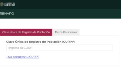 Consejos para consultar el CURP más fácilmente