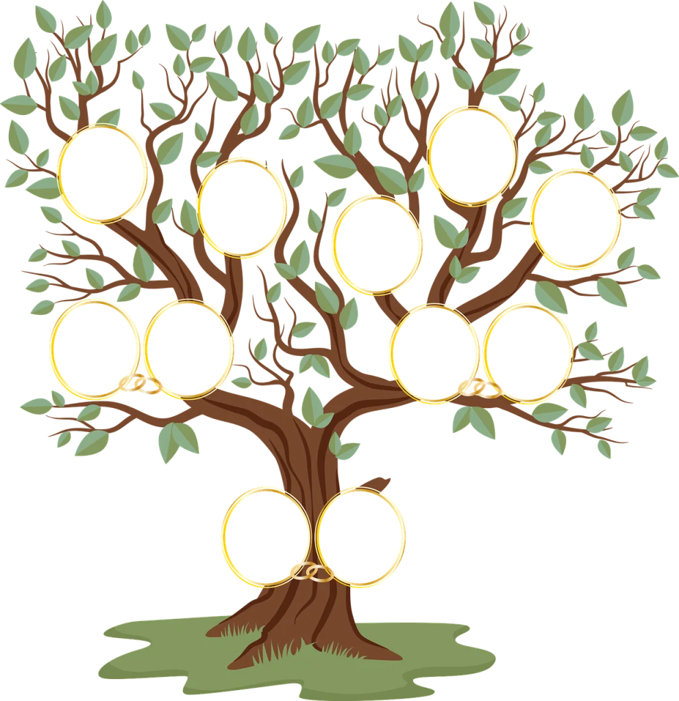 Como hacer un arbol genealogico
